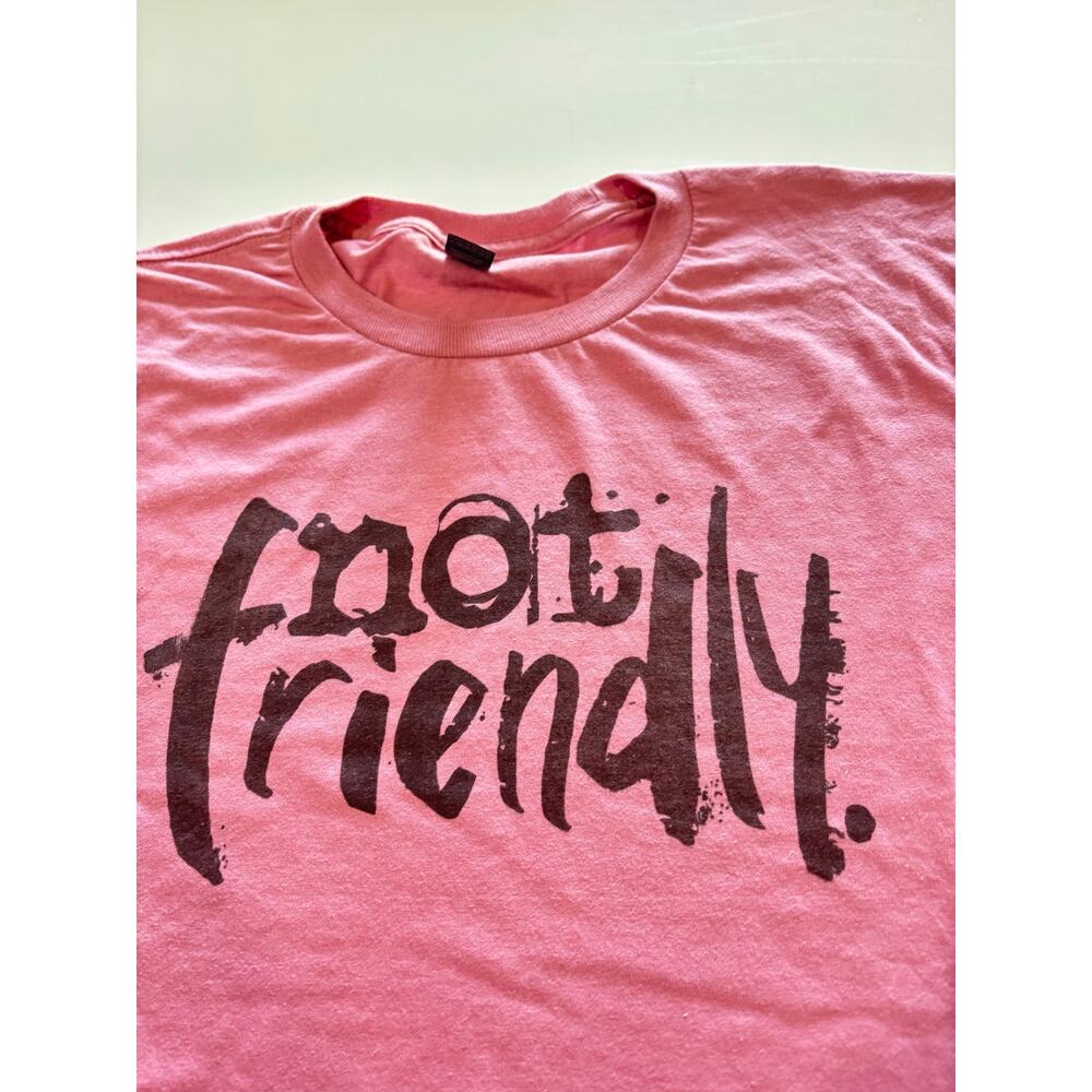 Not Friendly T-Shirt Funny Relatable Sarcastic Tee